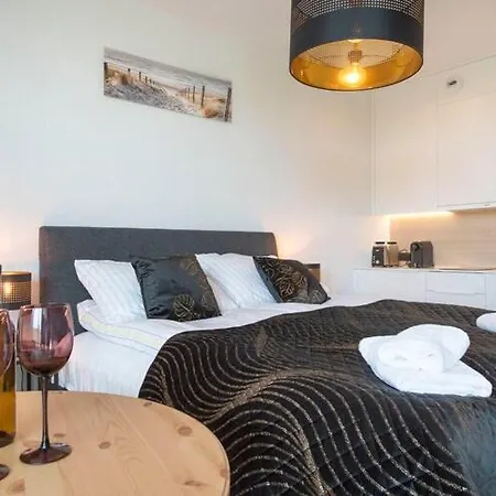 Apartment Luxurious Near The In *