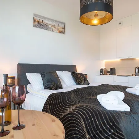 Apartment Luxurious Near The In