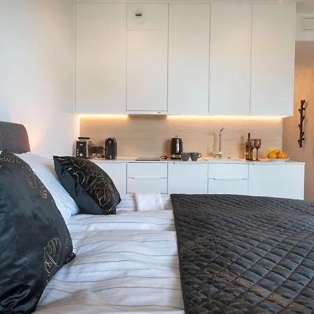 Apartment Luxurious Near The In